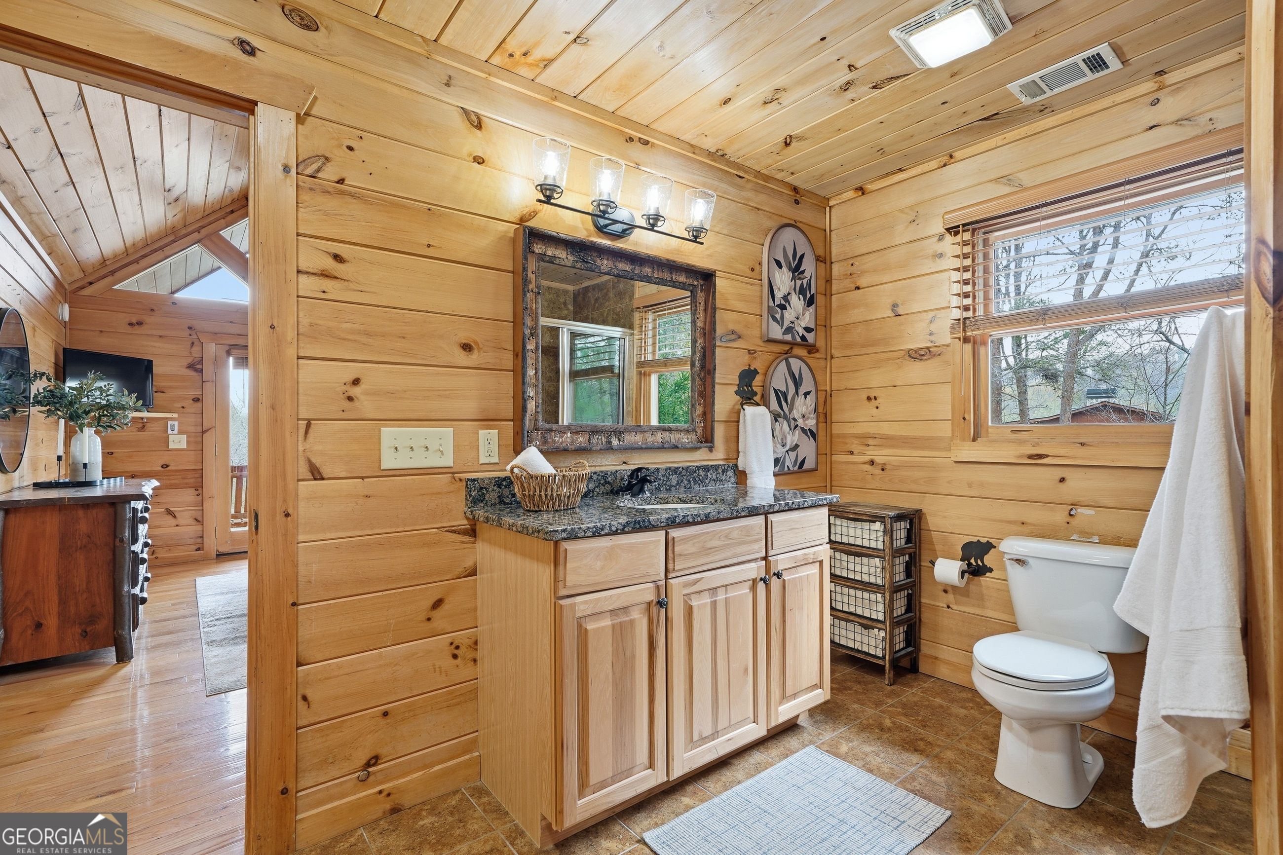 133 Dallas Lane Blue Ridge GA 30513