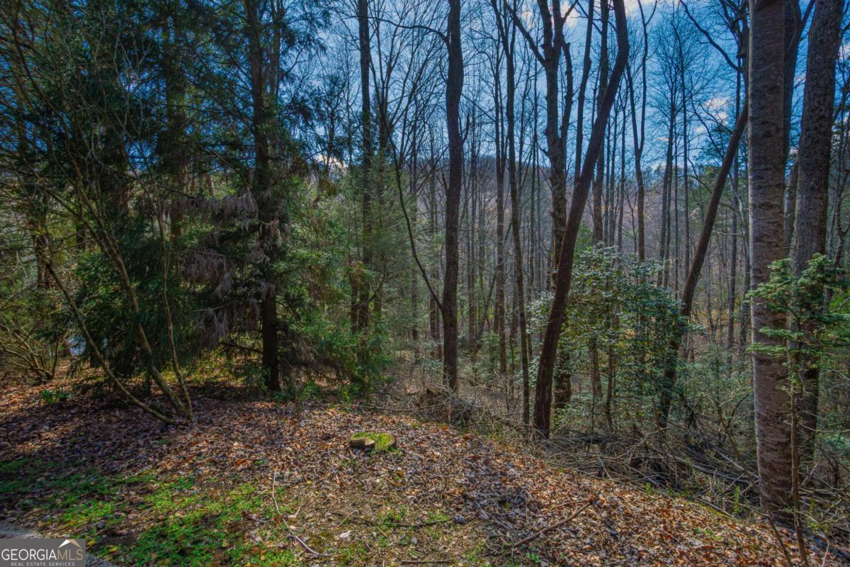 9 Blackbear Mountain Trail Suches GA 30572