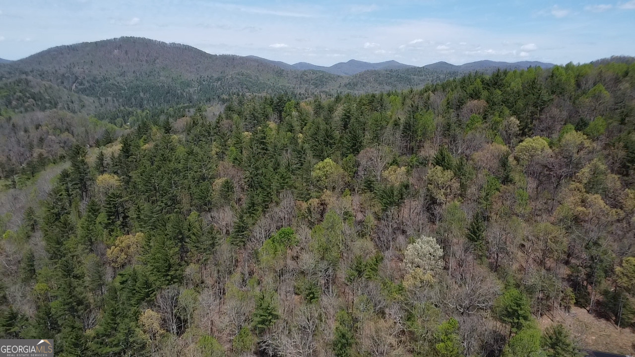 9 Blackbear Mountain Trail Suches GA 30572