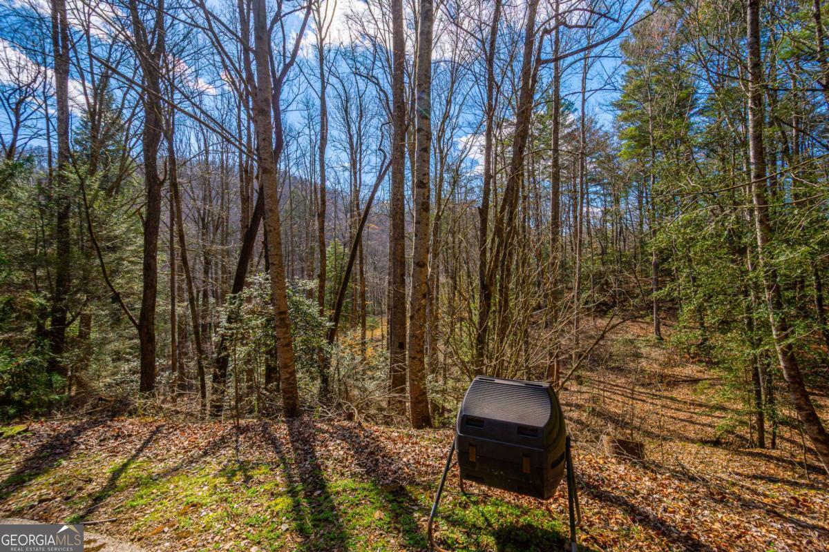 9 Blackbear Mountain Trail Suches GA 30572