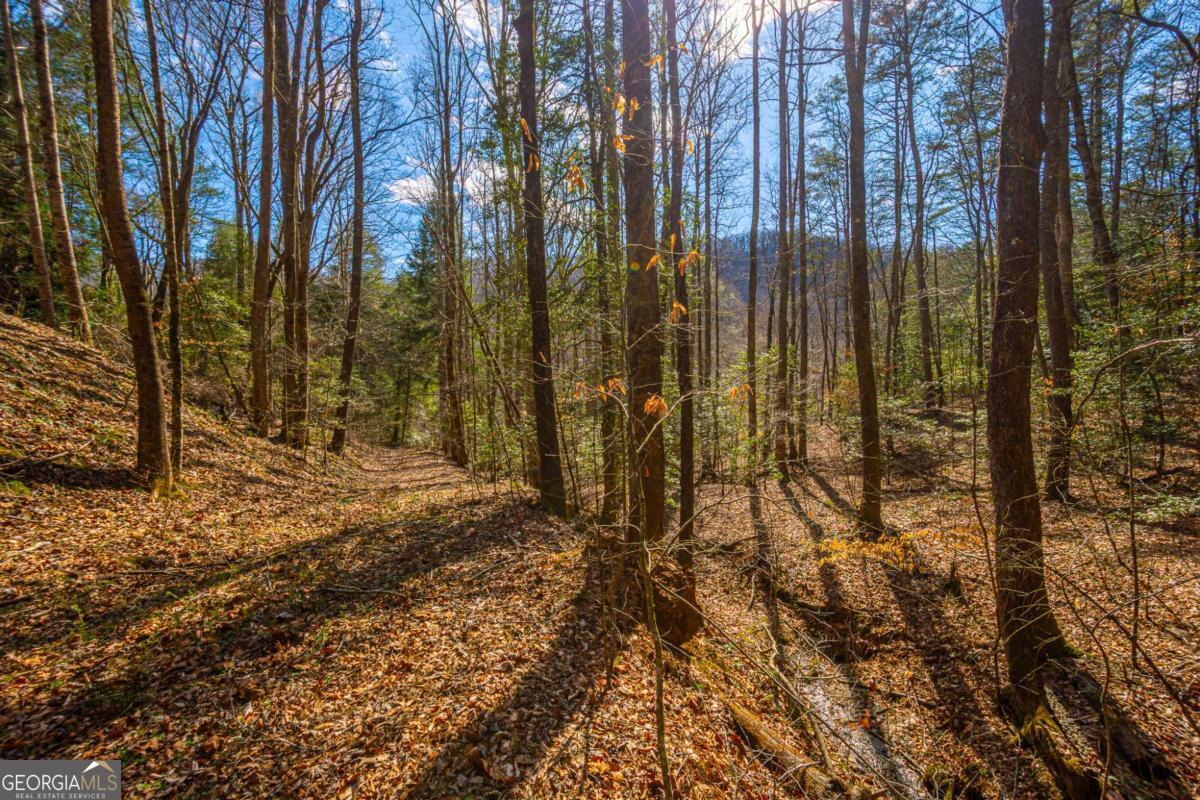 9 Blackbear Mountain Trail Suches GA 30572
