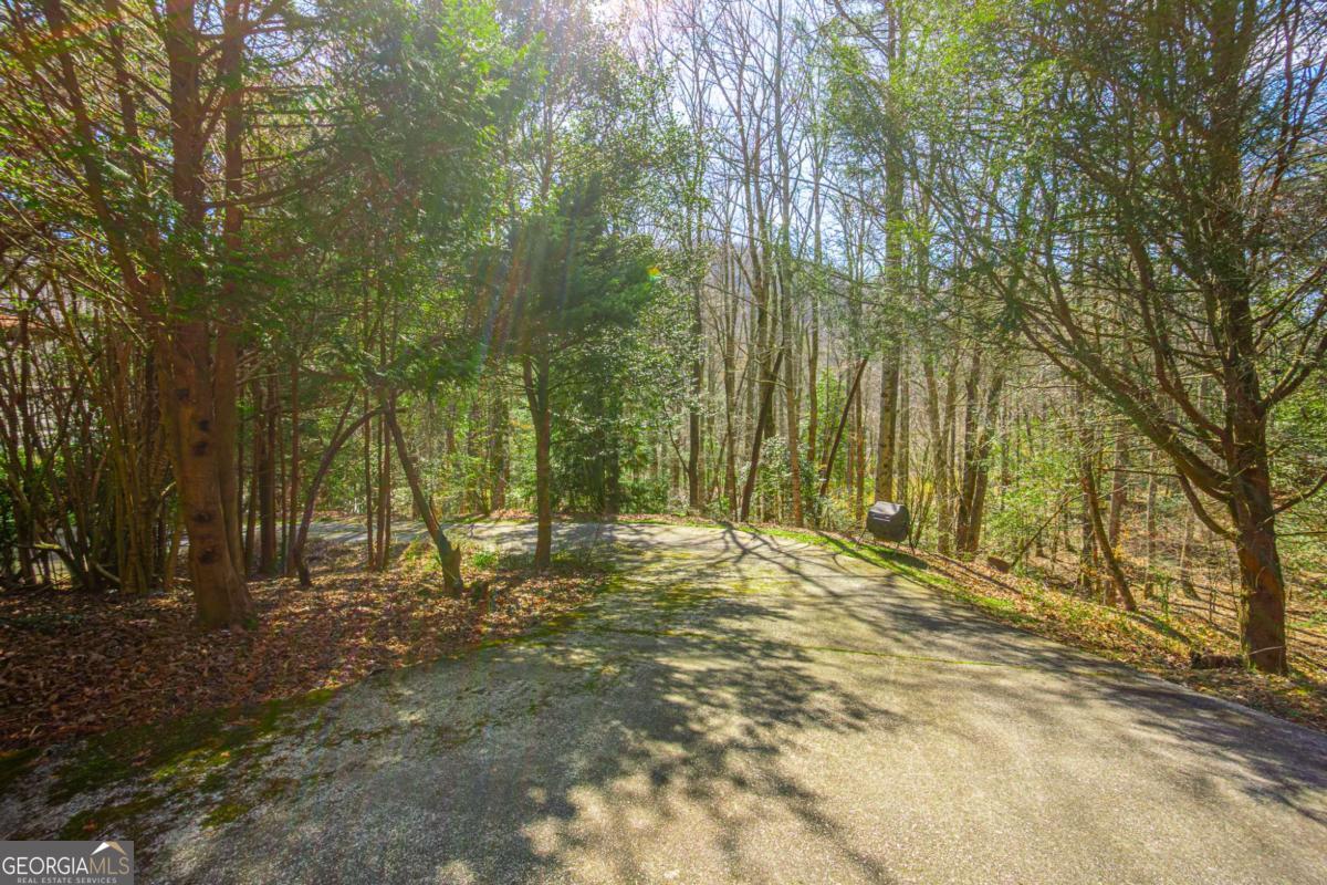 9 Blackbear Mountain Trail Suches GA 30572