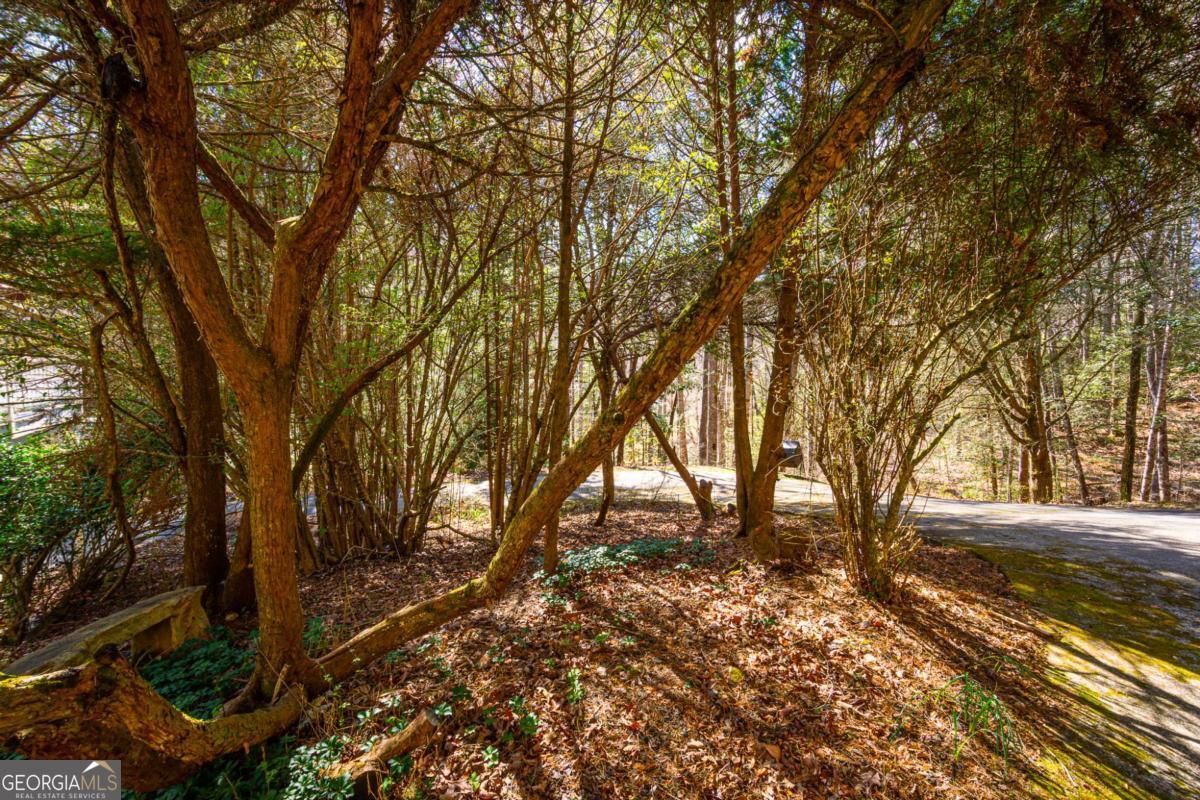 9 Blackbear Mountain Trail Suches GA 30572