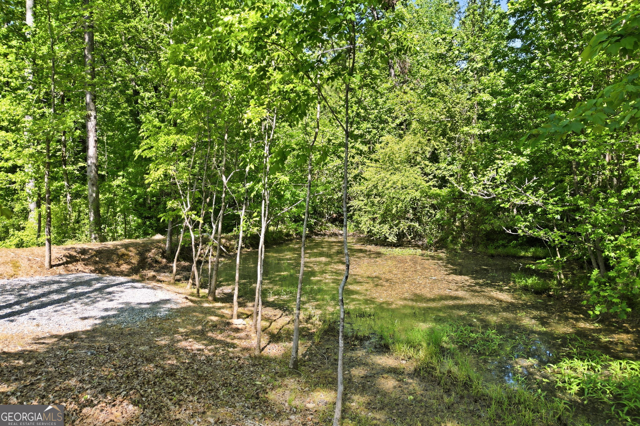 7710 Fireside Farm Drive Dawsonville GA 30534