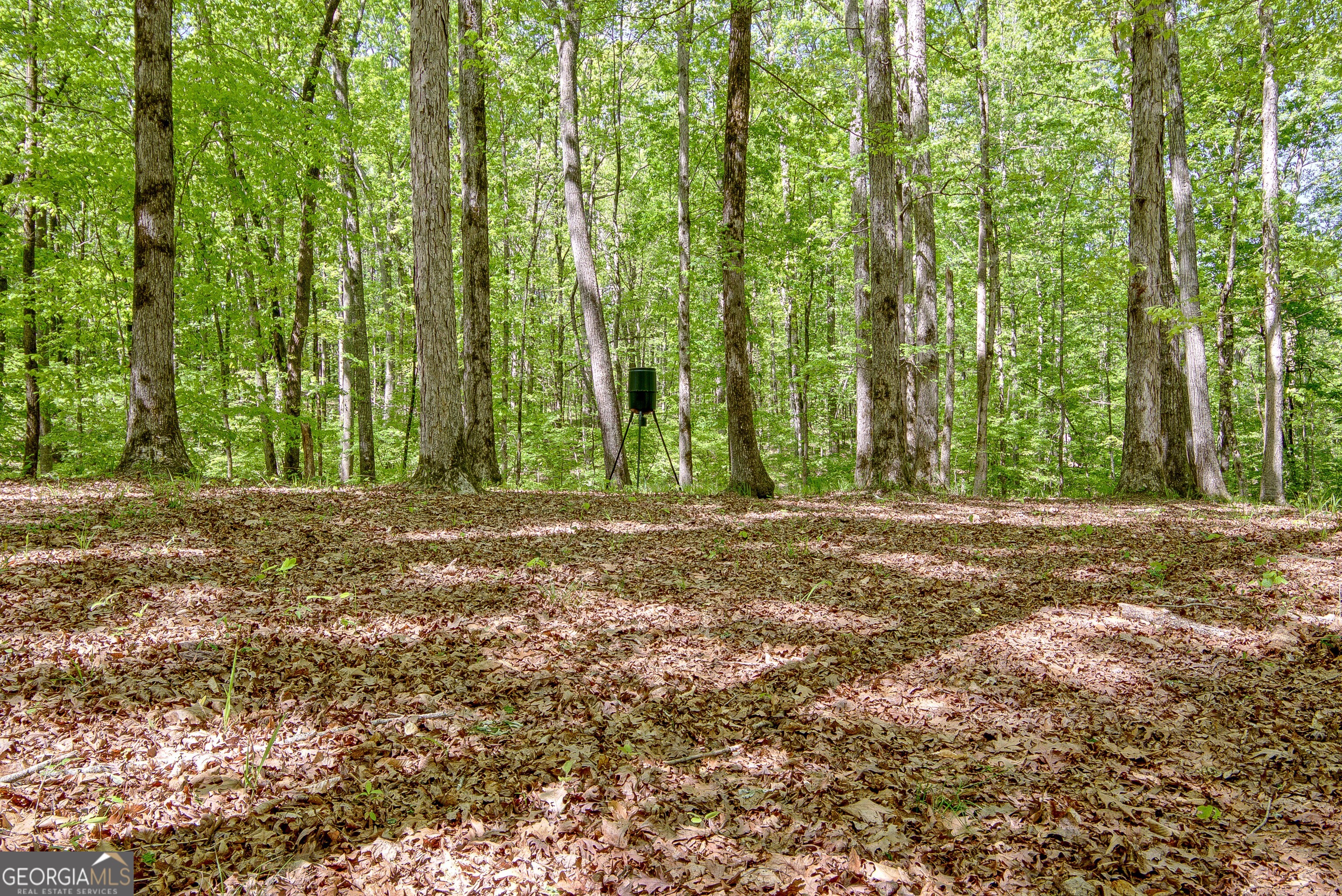 404 Tranquil Cemetary Road Senoia GA 30276