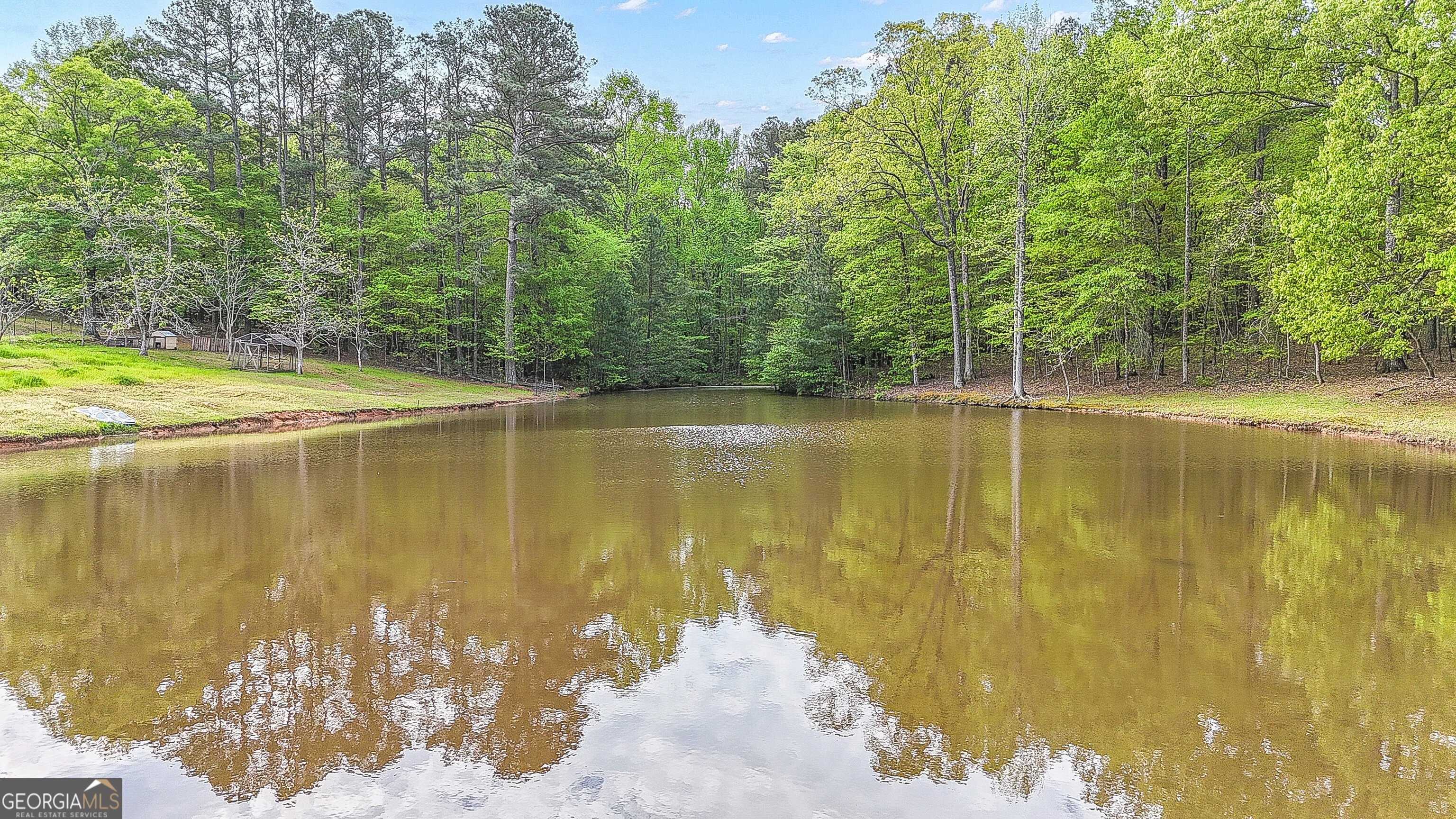 404 Tranquil Cemetary Road Senoia GA 30276