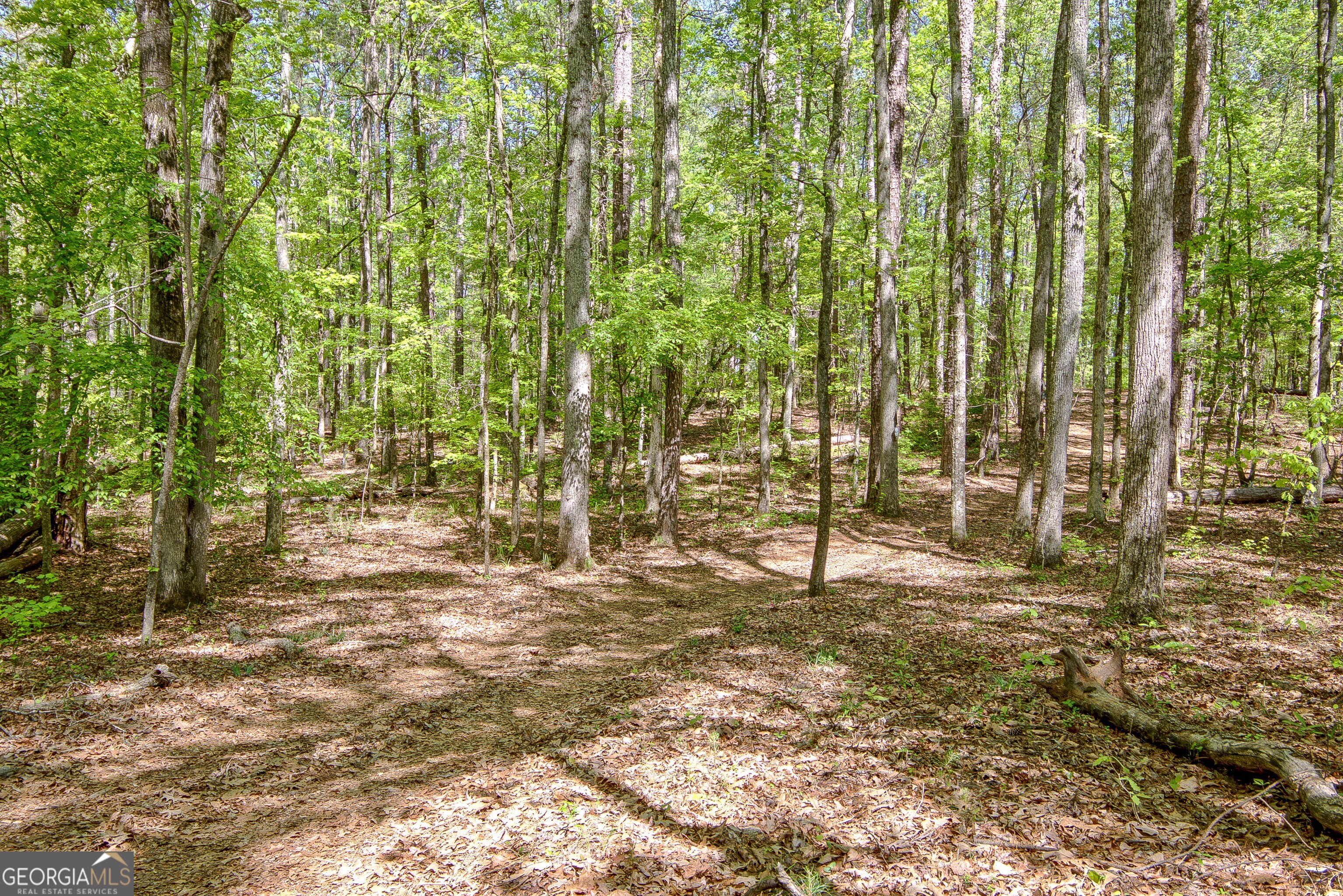 404 Tranquil Cemetary Road Senoia GA 30276
