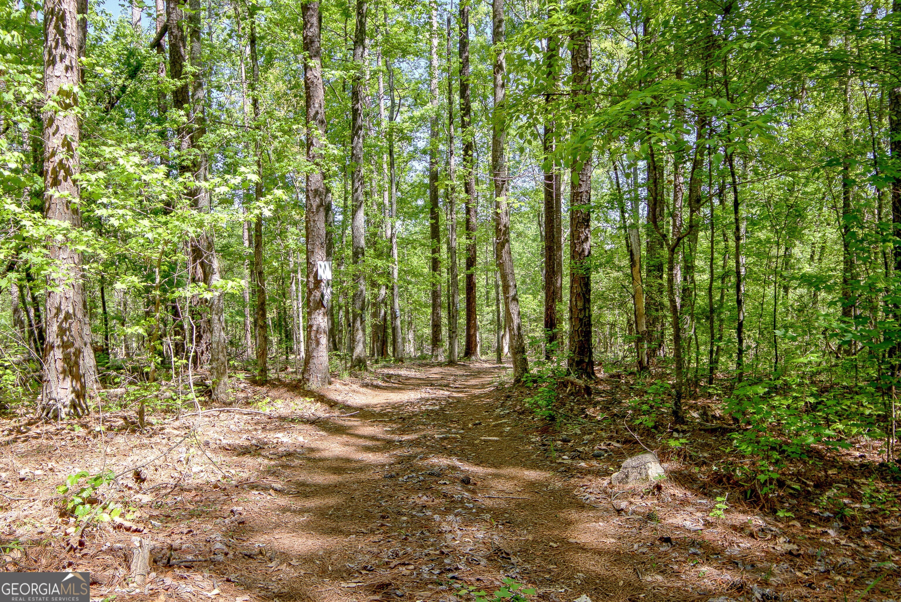 404 Tranquil Cemetary Road Senoia GA 30276