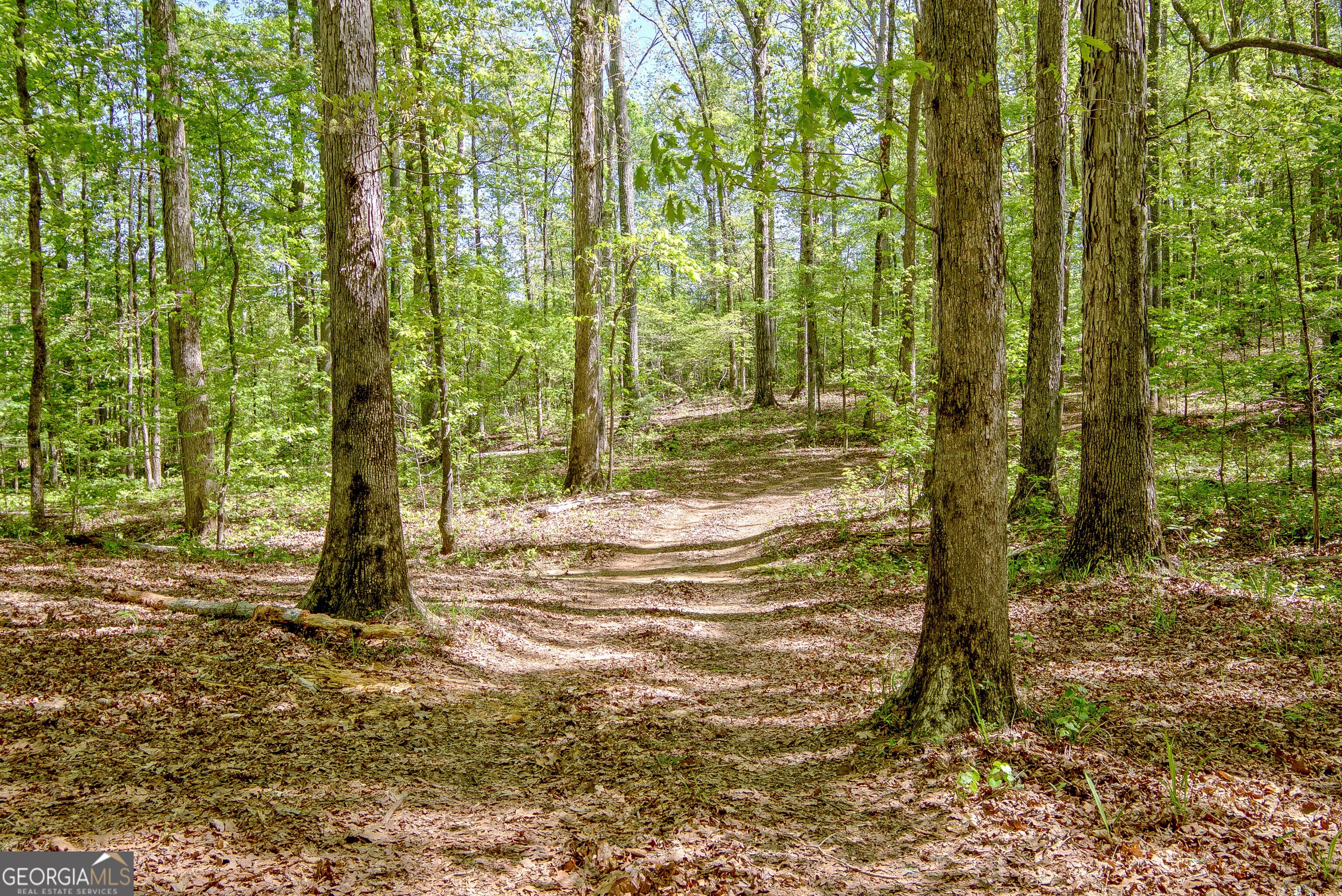 404 Tranquil Cemetary Road Senoia GA 30276