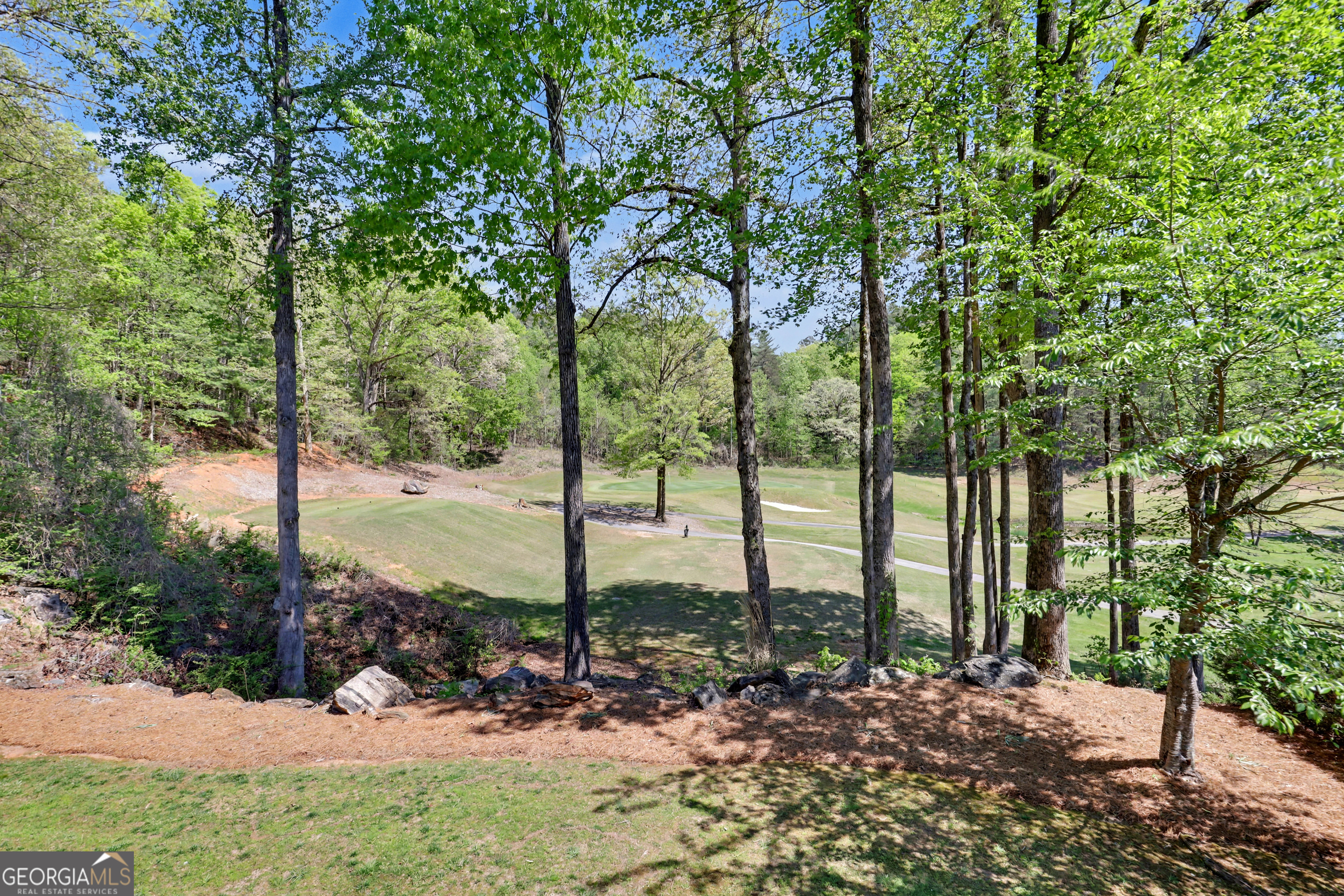 146 Gleneagle Court Clayton GA 30525