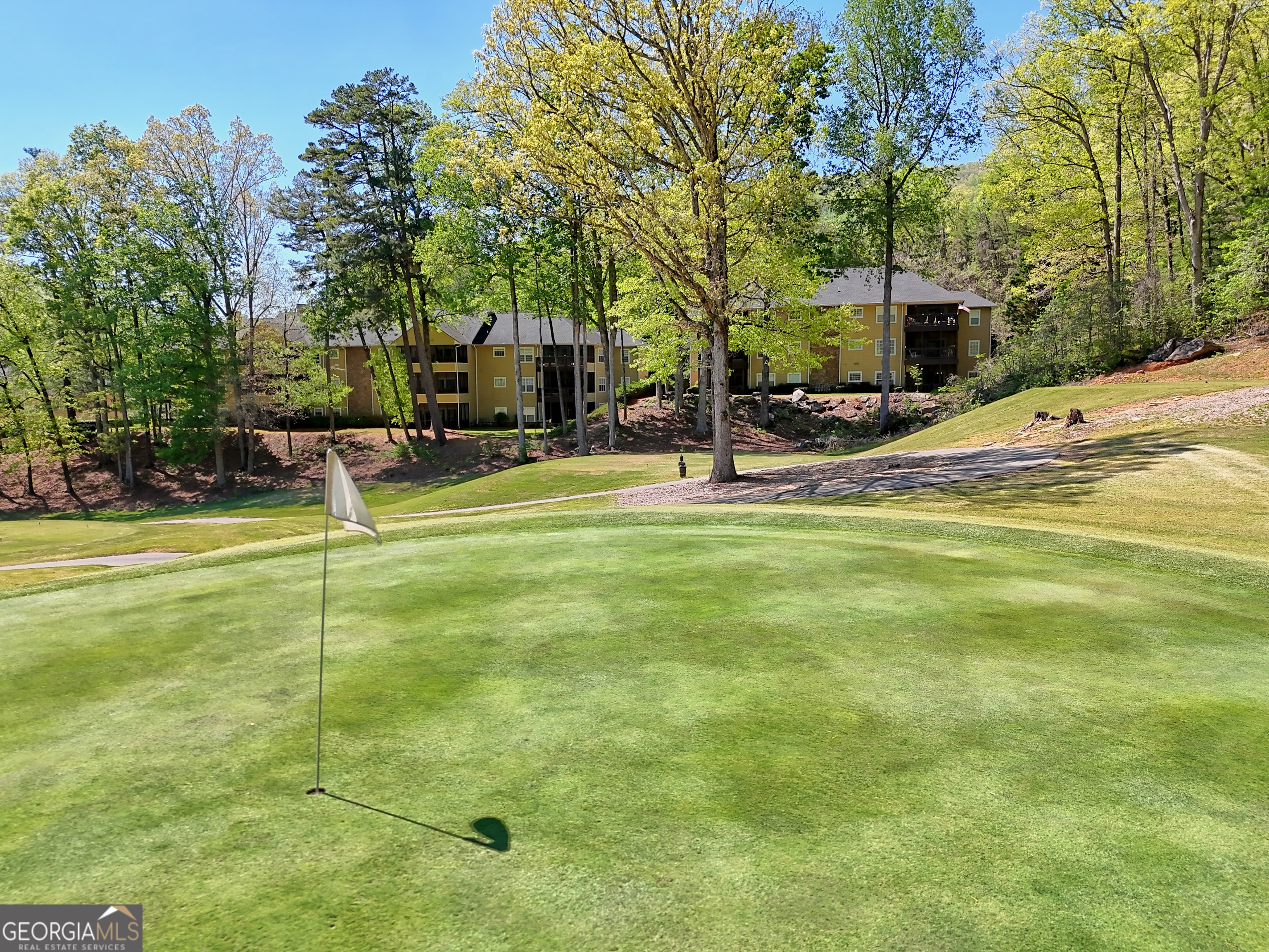 146 Gleneagle Court Clayton GA 30525