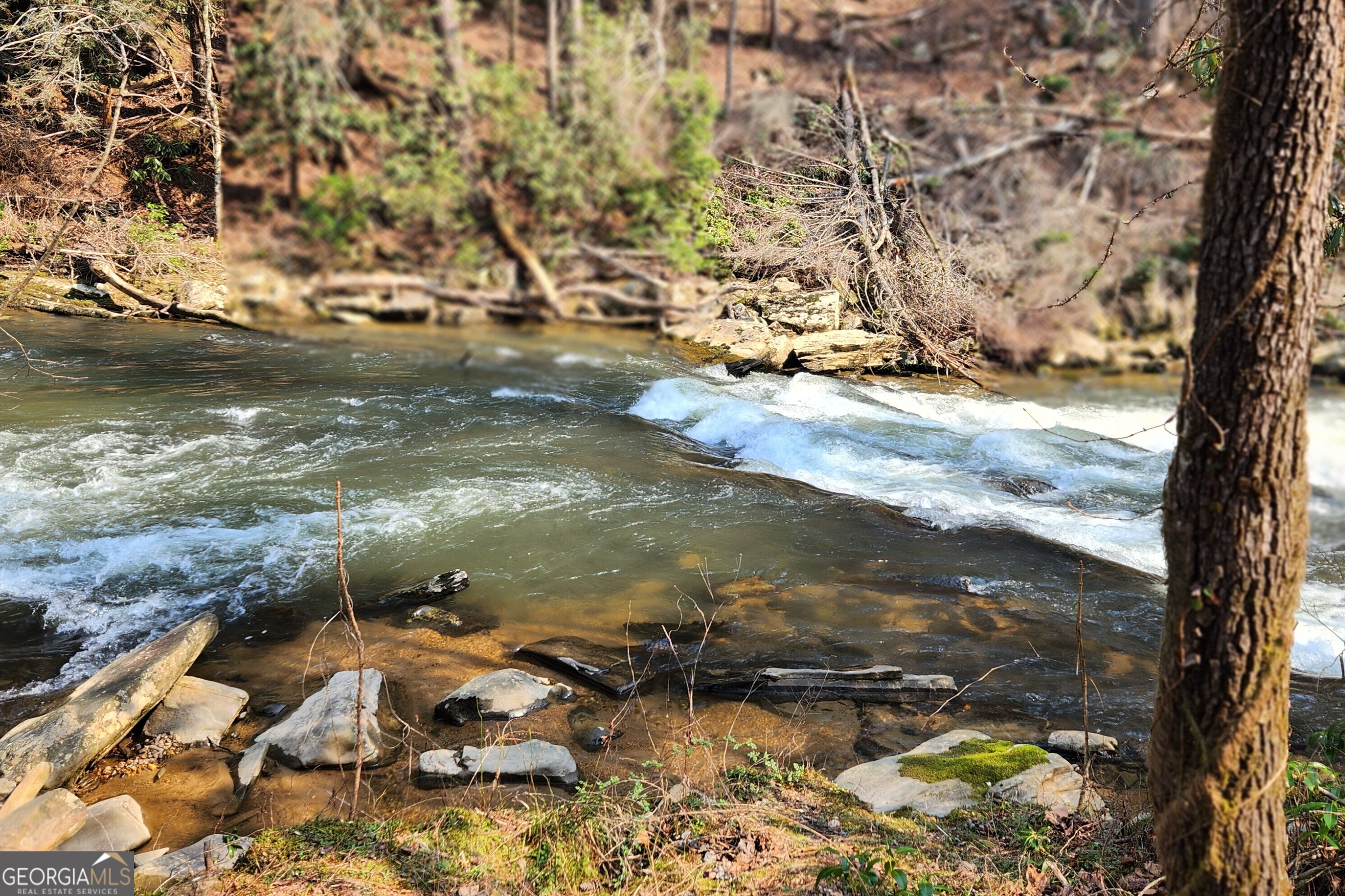 185 Sundown Trail Ellijay GA 30540