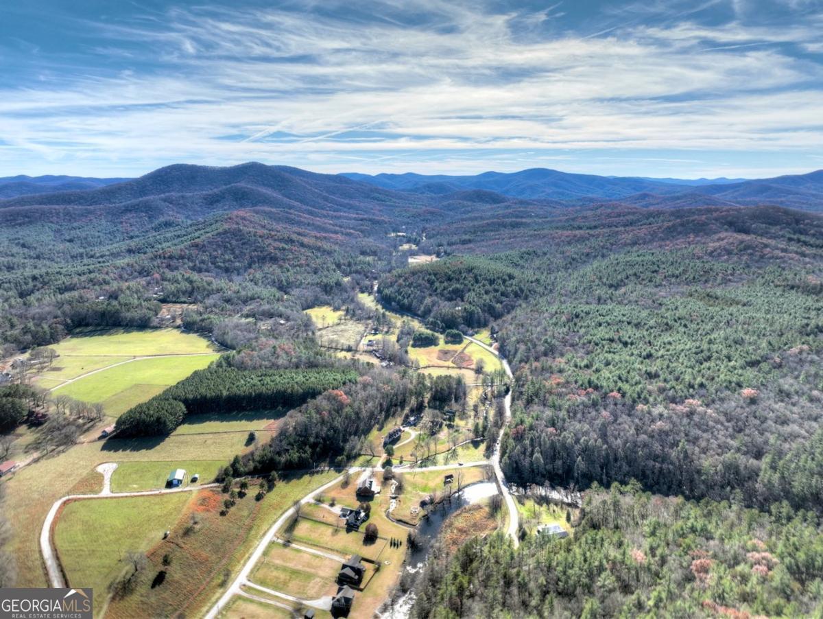 47 Downy Road Blue Ridge GA 30513