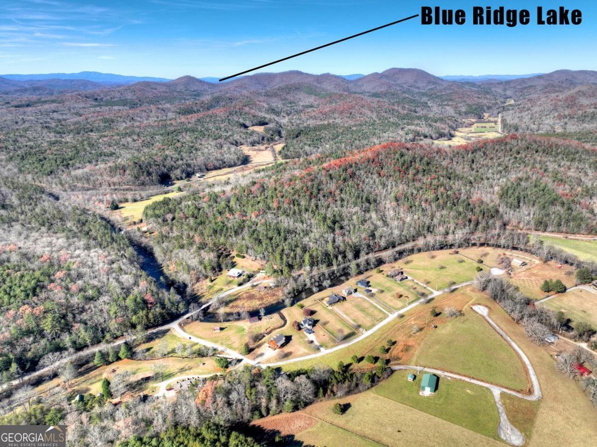 47 Downy Road Blue Ridge GA 30513