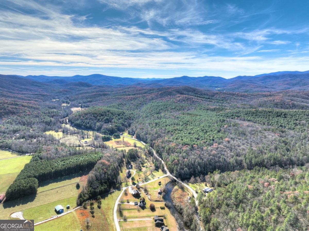 47 Downy Road Blue Ridge GA 30513