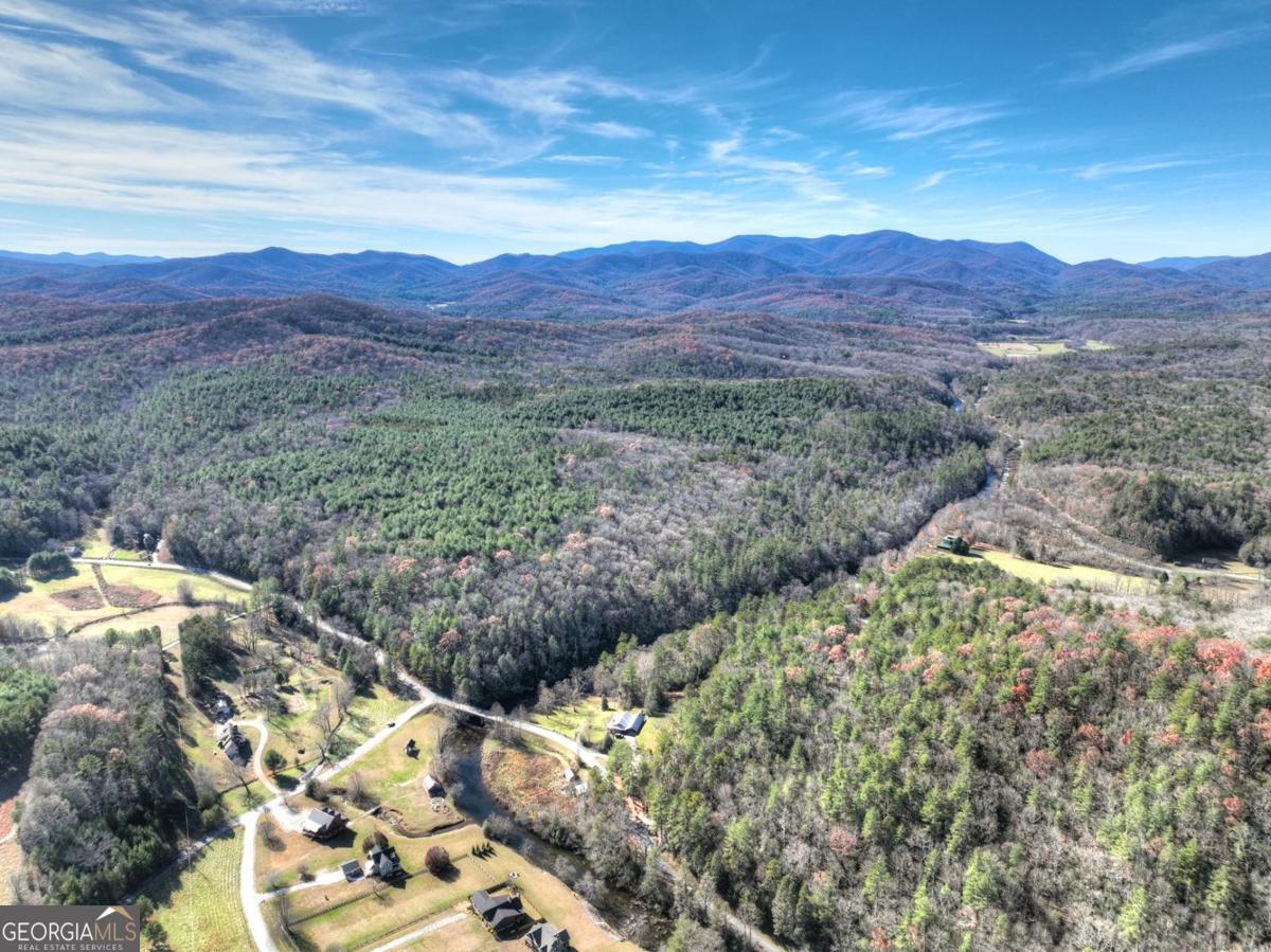 47 Downy Road Blue Ridge GA 30513