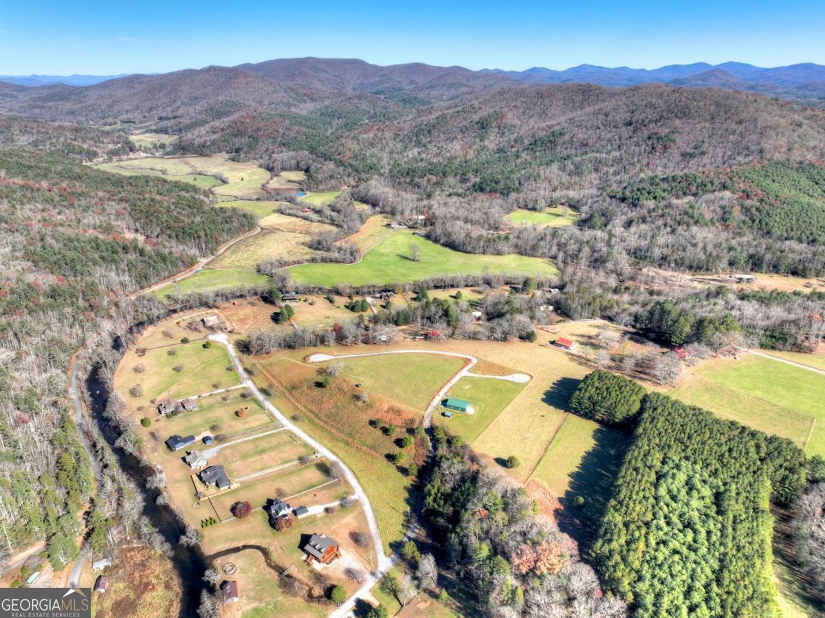 47 Downy Road Blue Ridge GA 30513