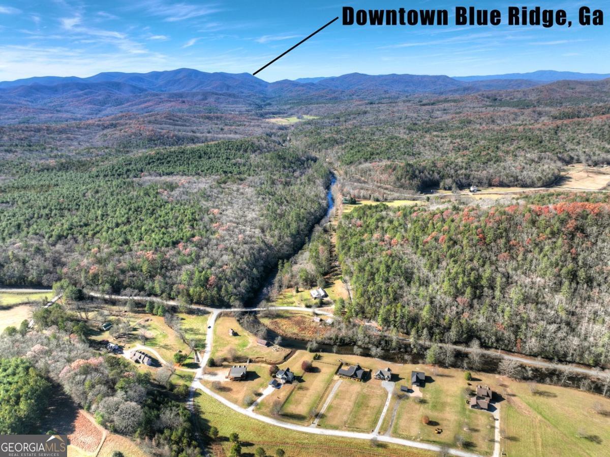 47 Downy Road Blue Ridge GA 30513