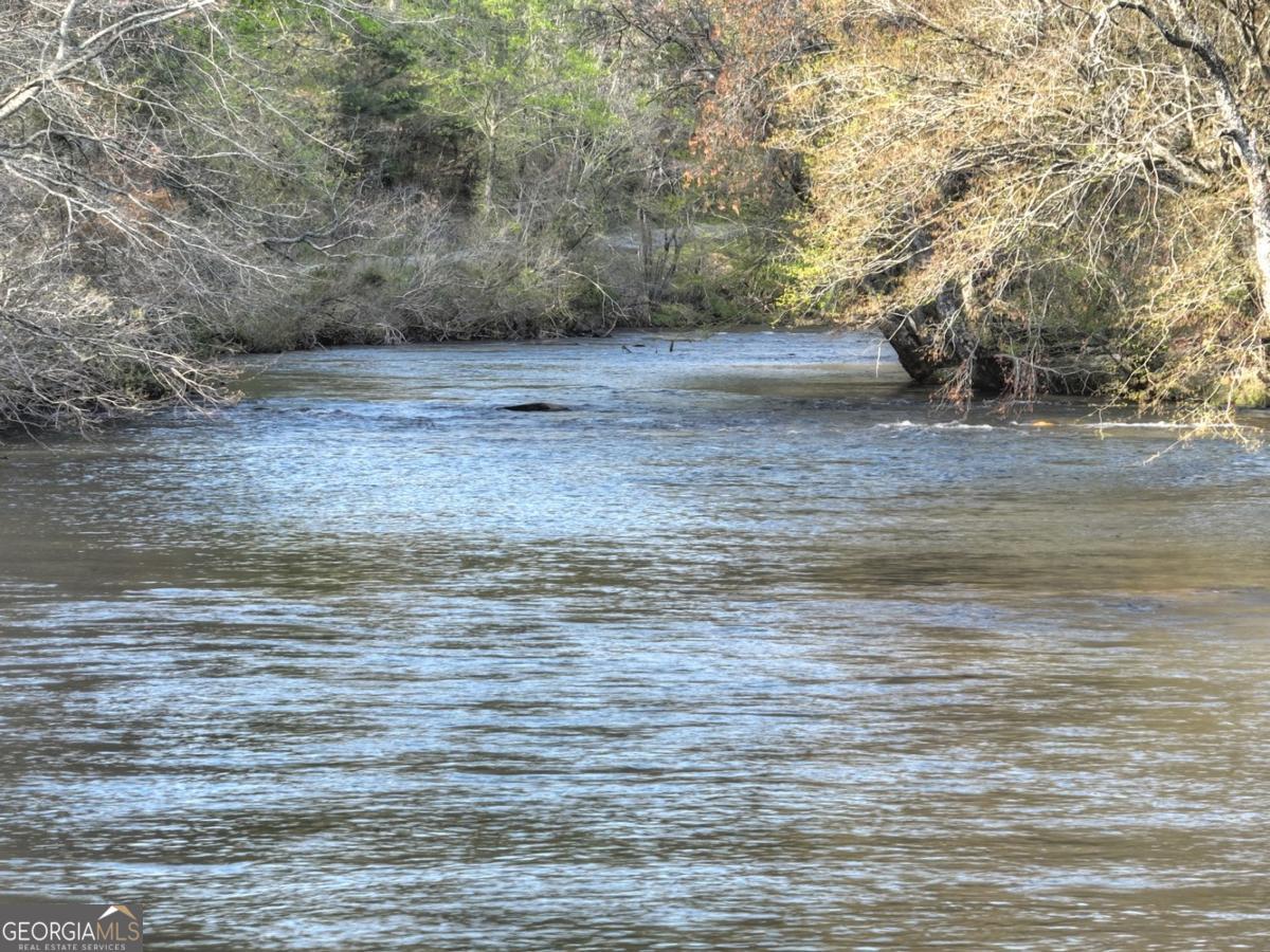 47 Downy Road Blue Ridge GA 30513