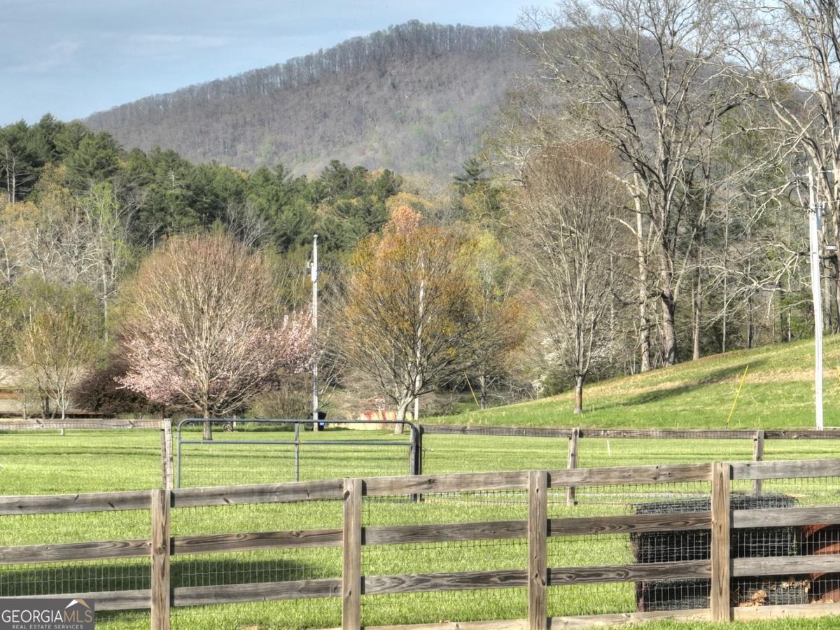 47 Downy Road Blue Ridge GA 30513