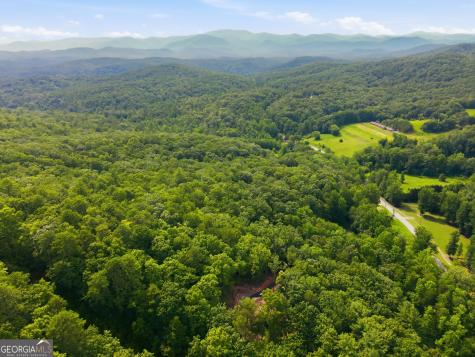 3014 Oakey Mountain Road Clarkesville GA 30523