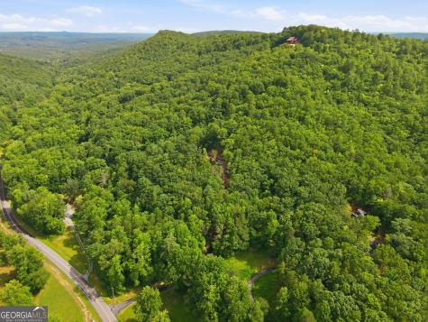 3014 Oakey Mountain Road Clarkesville GA 30523