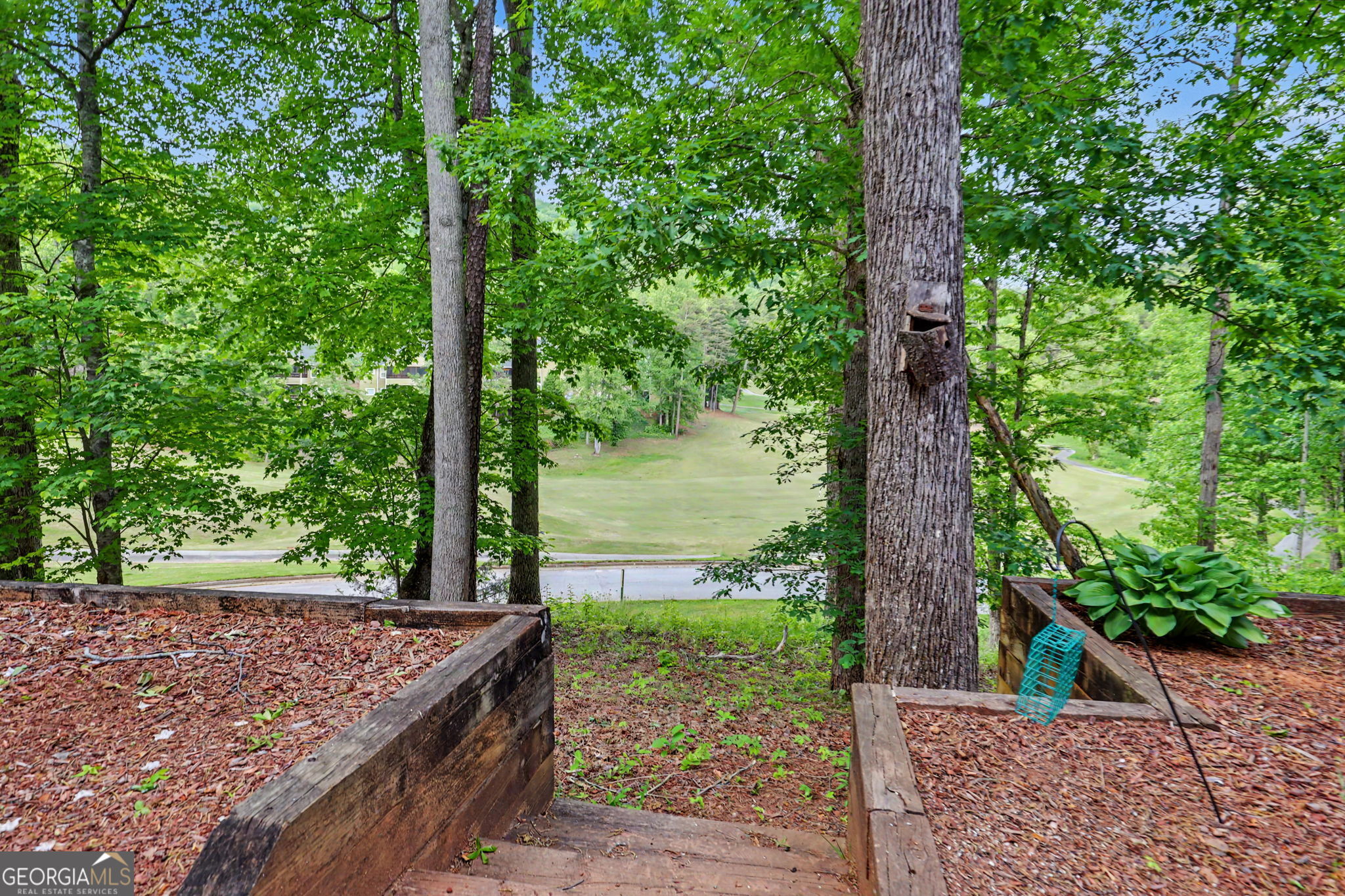 251 Shakespeare Drive Clayton GA 30525