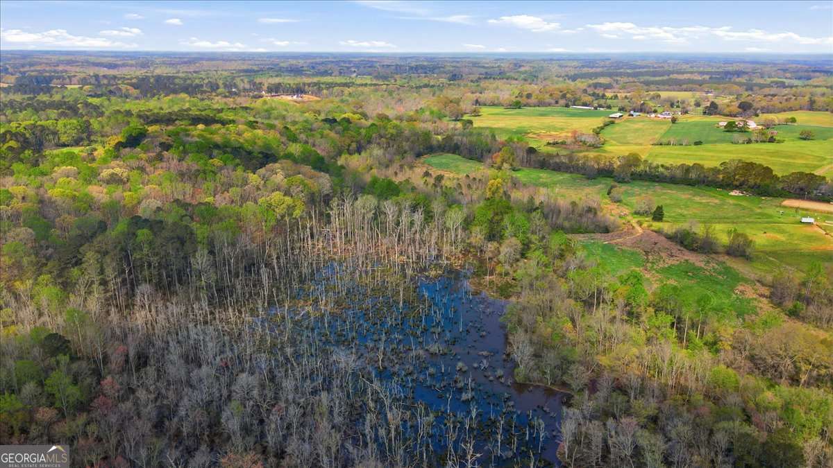 2013 Seclusion Trail Monroe GA 30656