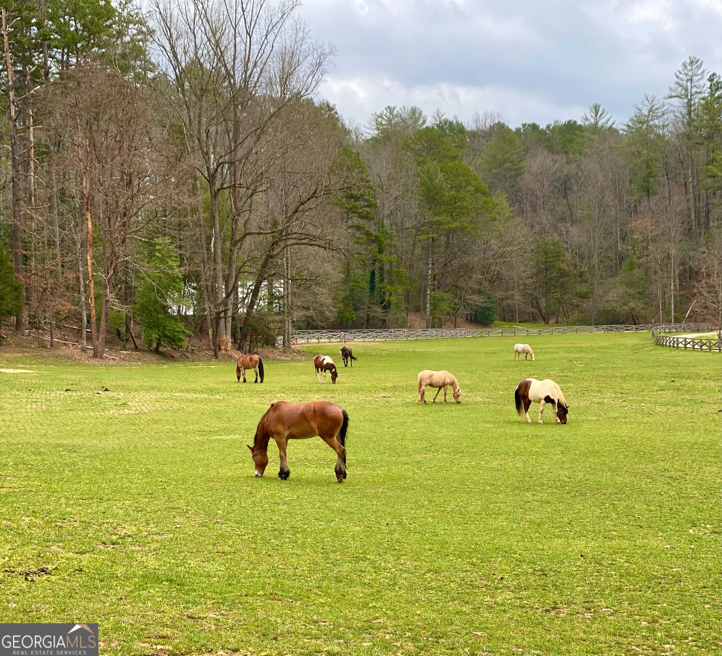 3622 Sandy Ford Road Clayton GA 30525