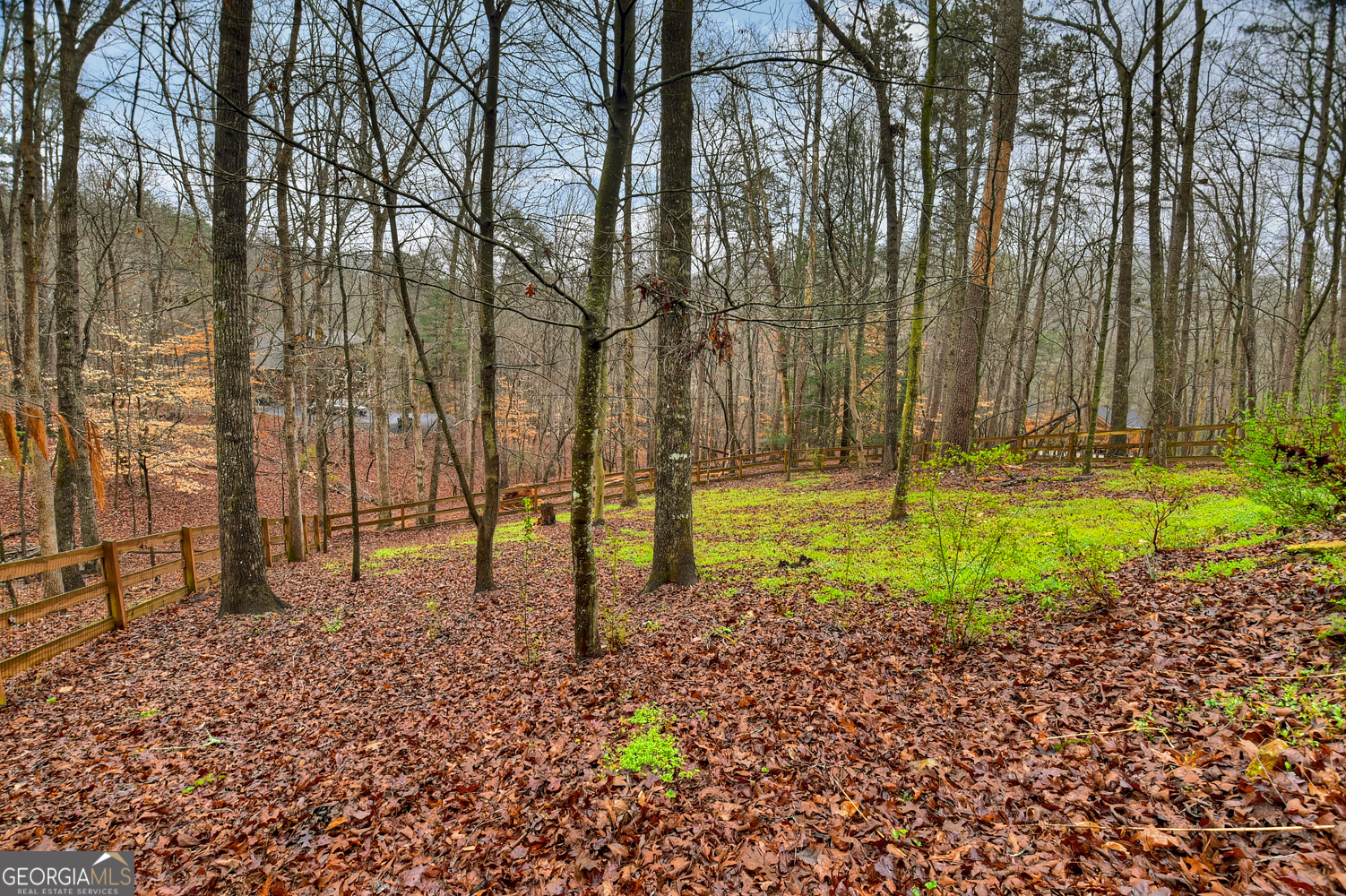 95 N Crestview Drive Ellijay GA 30540