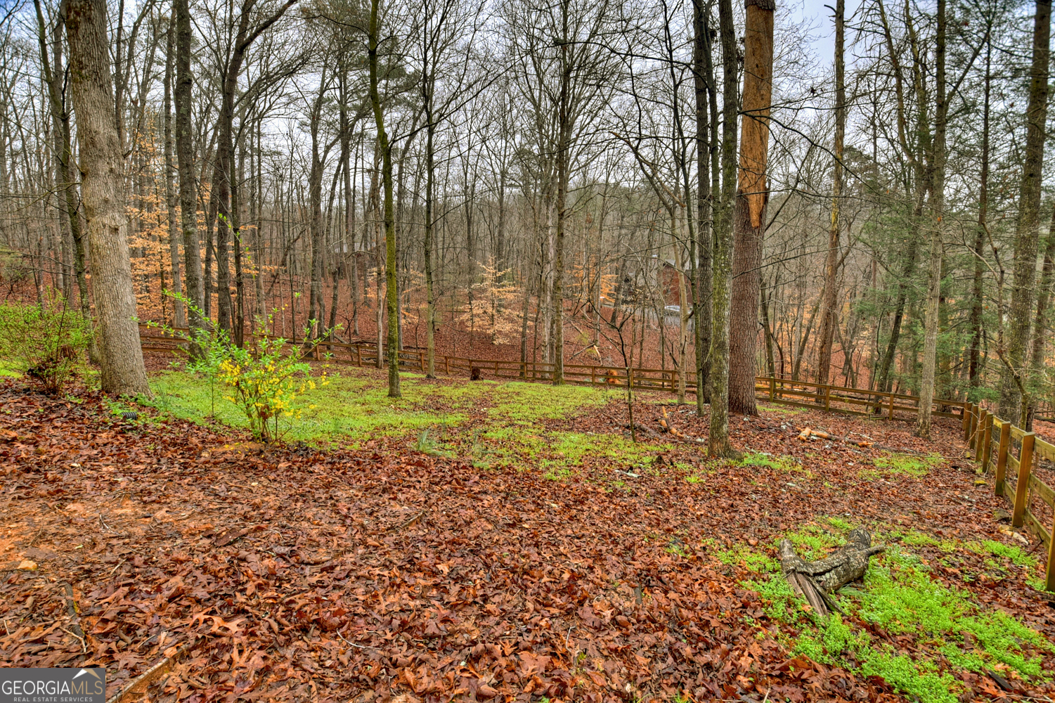 95 N Crestview Drive Ellijay GA 30540