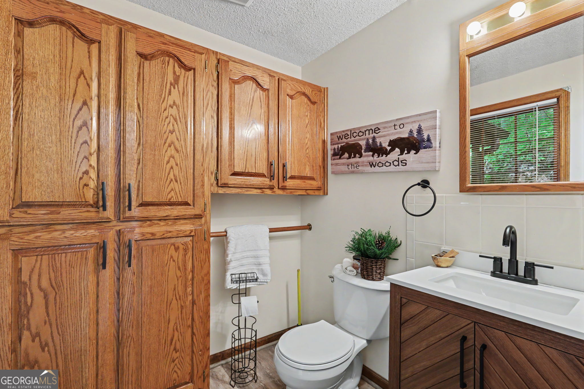 44 Laquinta Lane Dillard GA 30537
