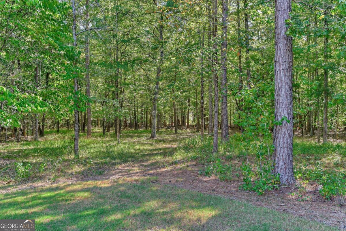 1021 Pointe S Tignall GA 30668