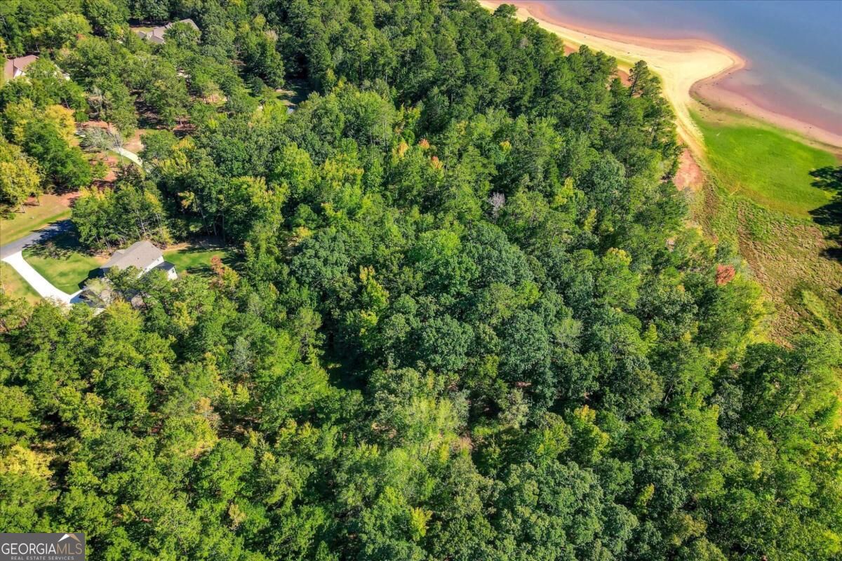 1021 Pointe S Tignall GA 30668