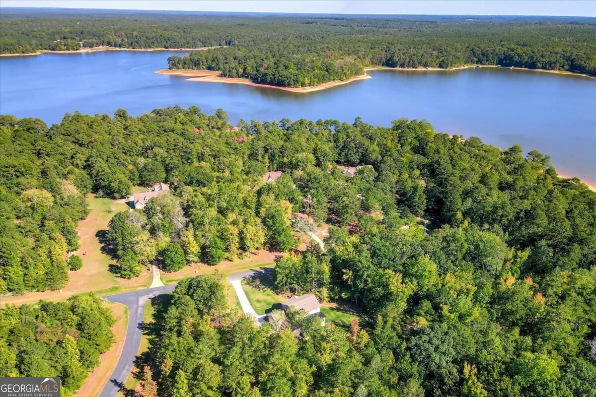 1021 Pointe S Tignall GA 30668
