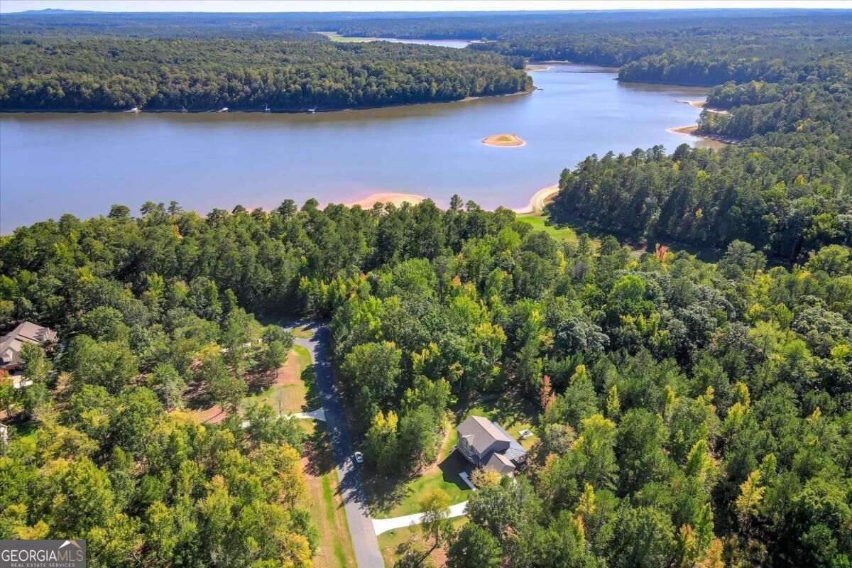 1021 Pointe S Tignall GA 30668