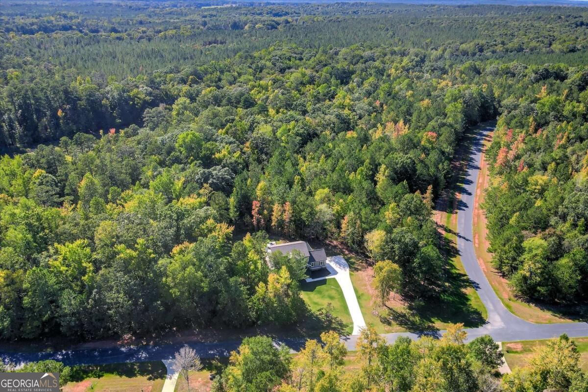 1021 Pointe S Tignall GA 30668