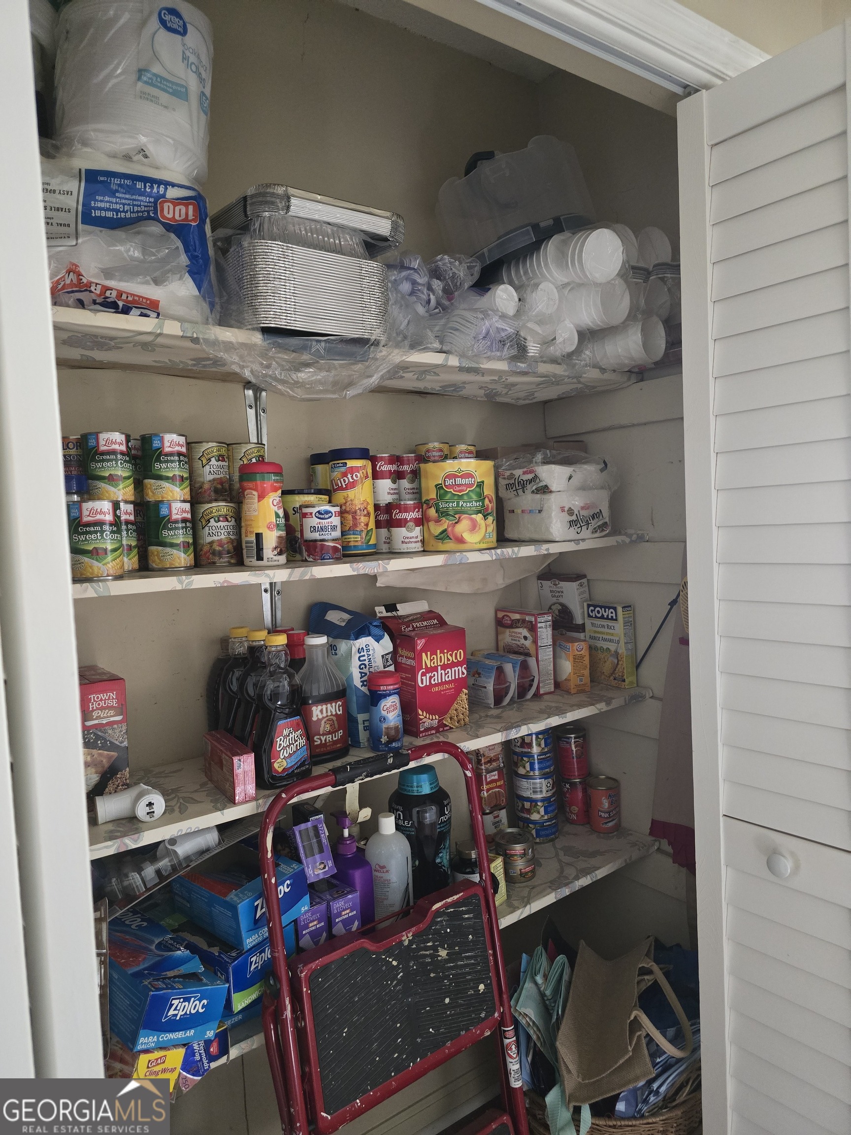 479 Mitchell Loop Bluffton GA 39824