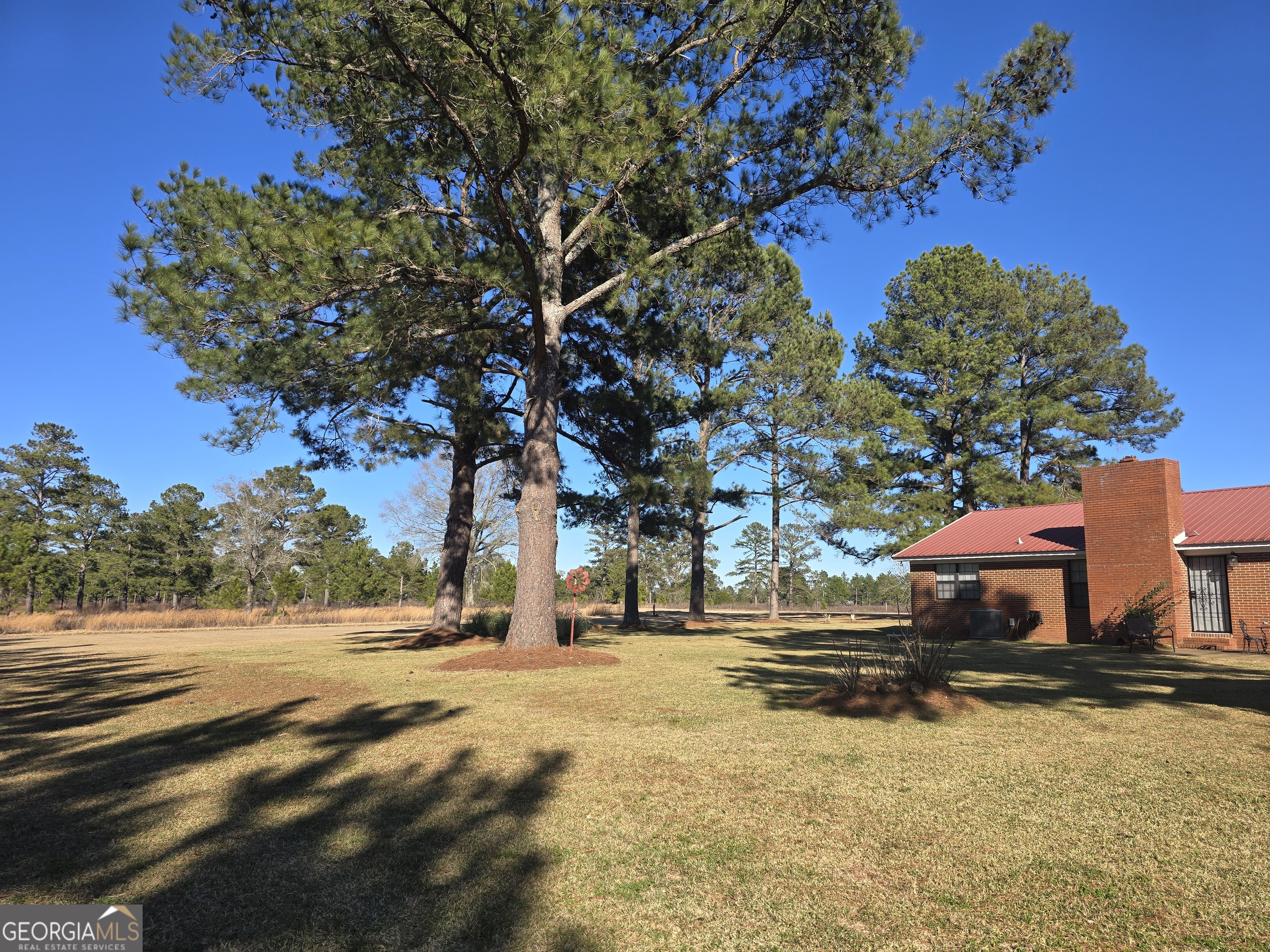 479 Mitchell Loop Bluffton GA 39824
