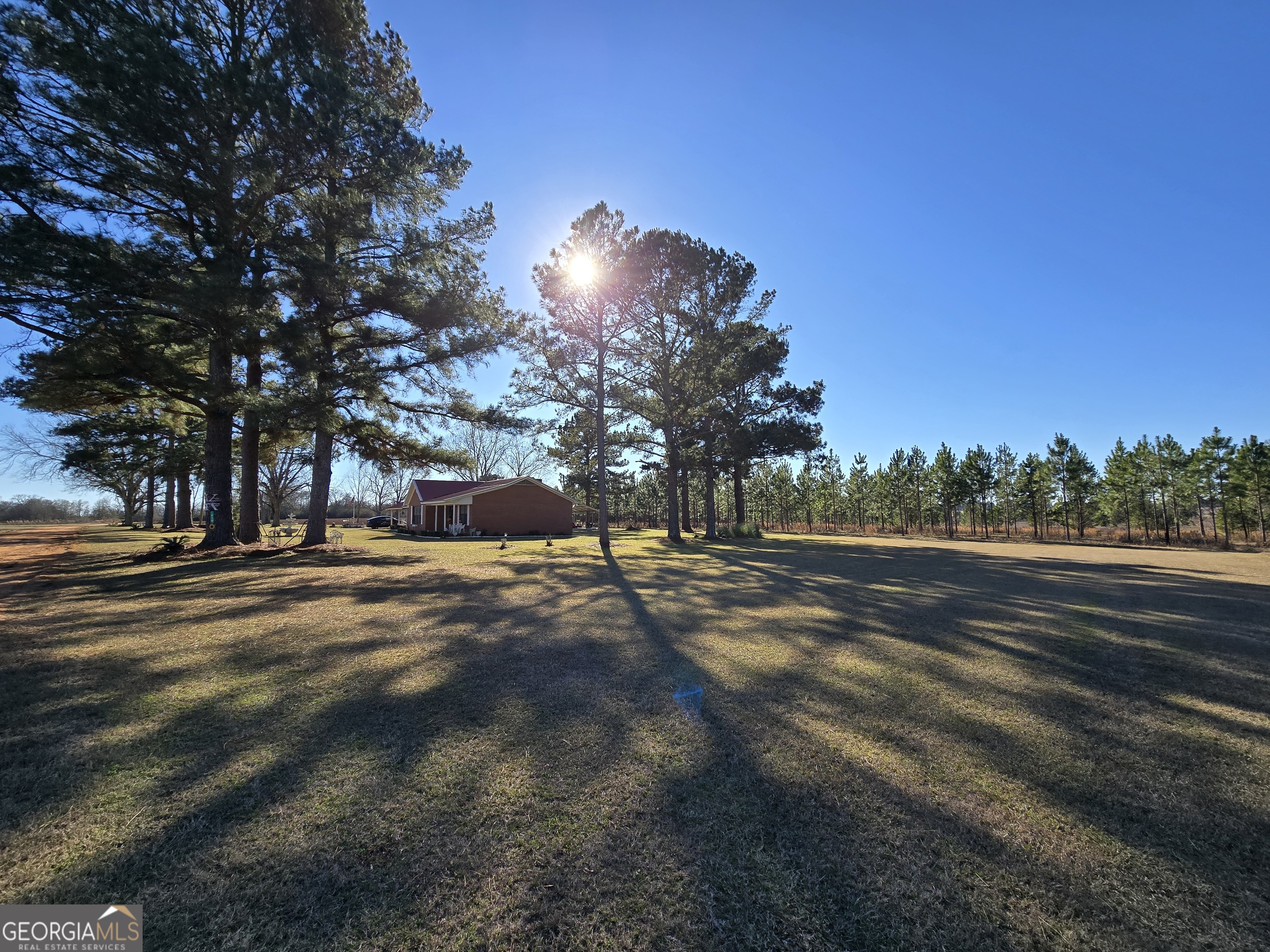 479 Mitchell Loop Bluffton GA 39824