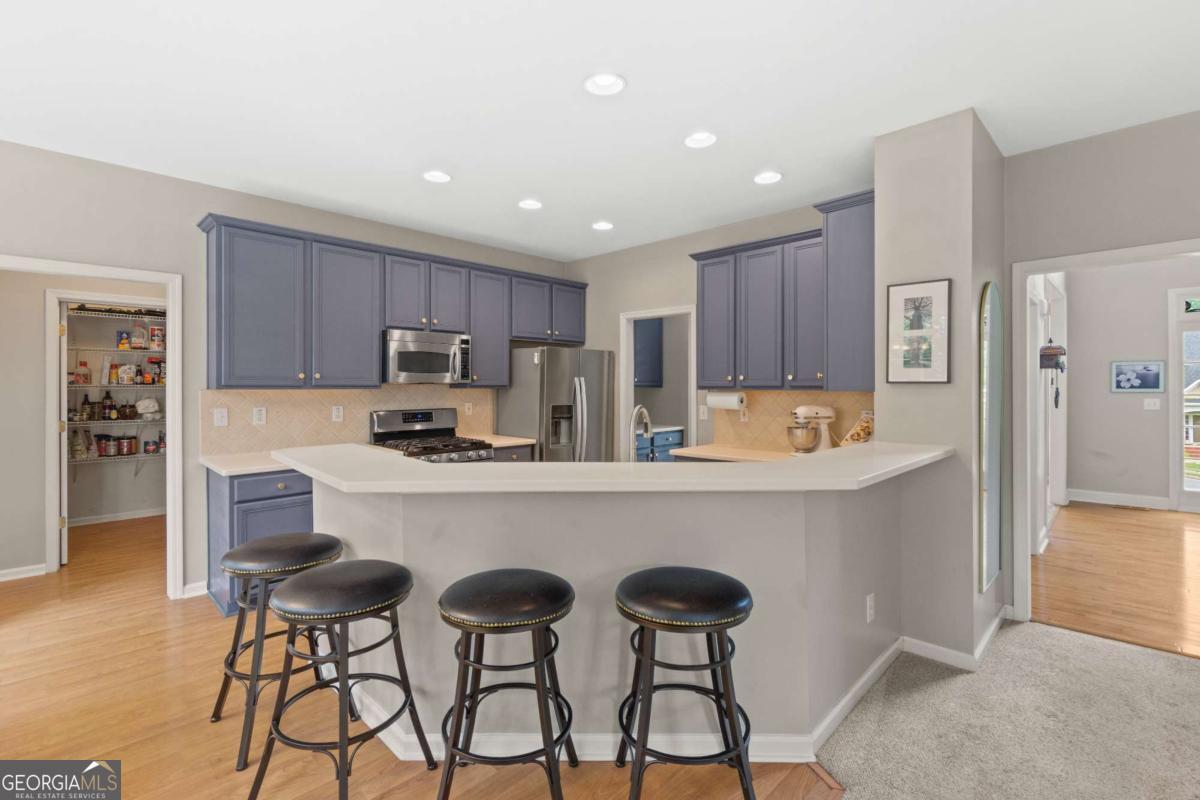 243 Ribbon Leaf View Suwanee GA 30024