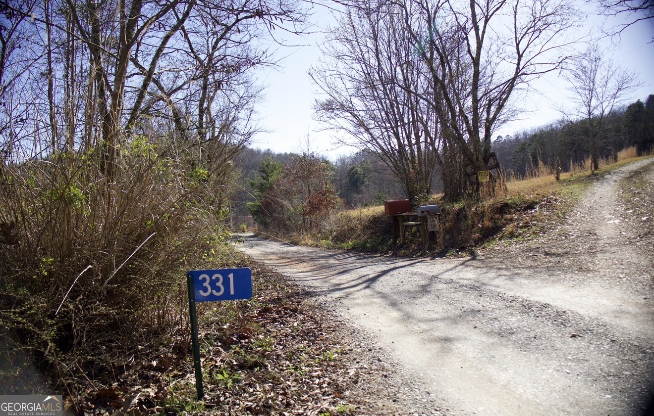 331 Blue Arrow Lane Mineral Bluff GA 30559