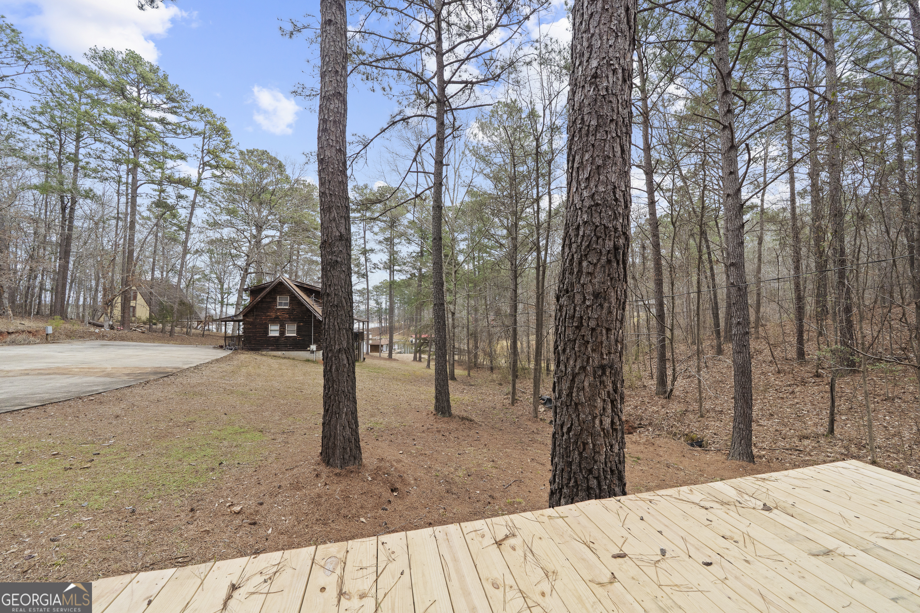 1011 Sandy Run Drive Sparta GA 31087