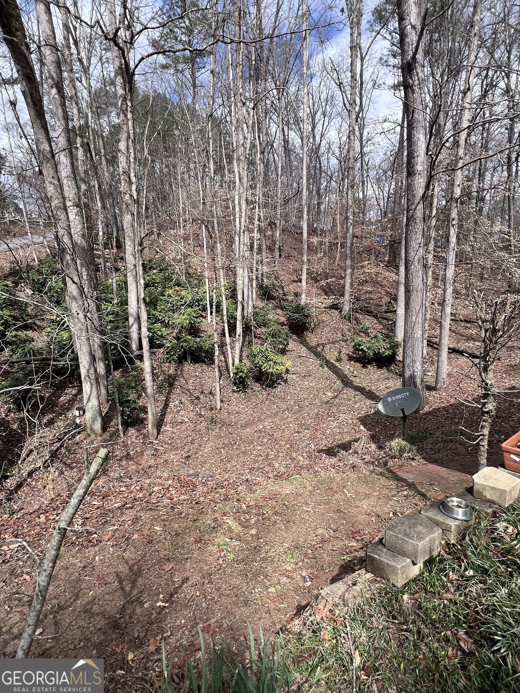 315 Magnolia Drive Canton GA 30114
