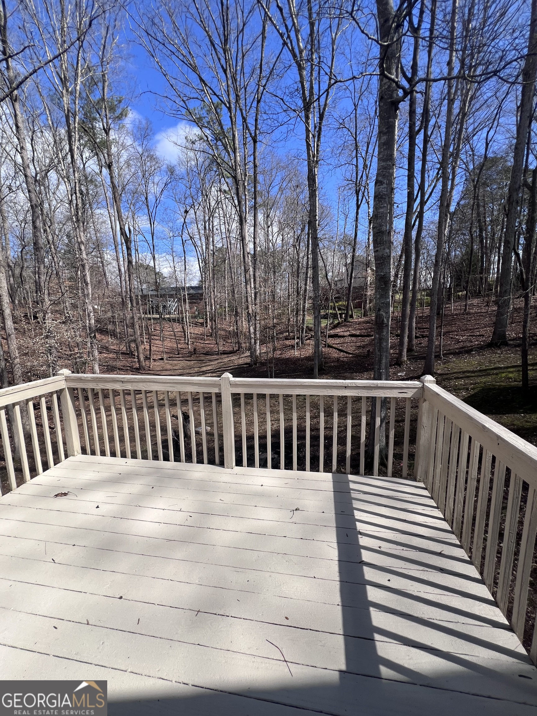315 Magnolia Drive Canton GA 30114