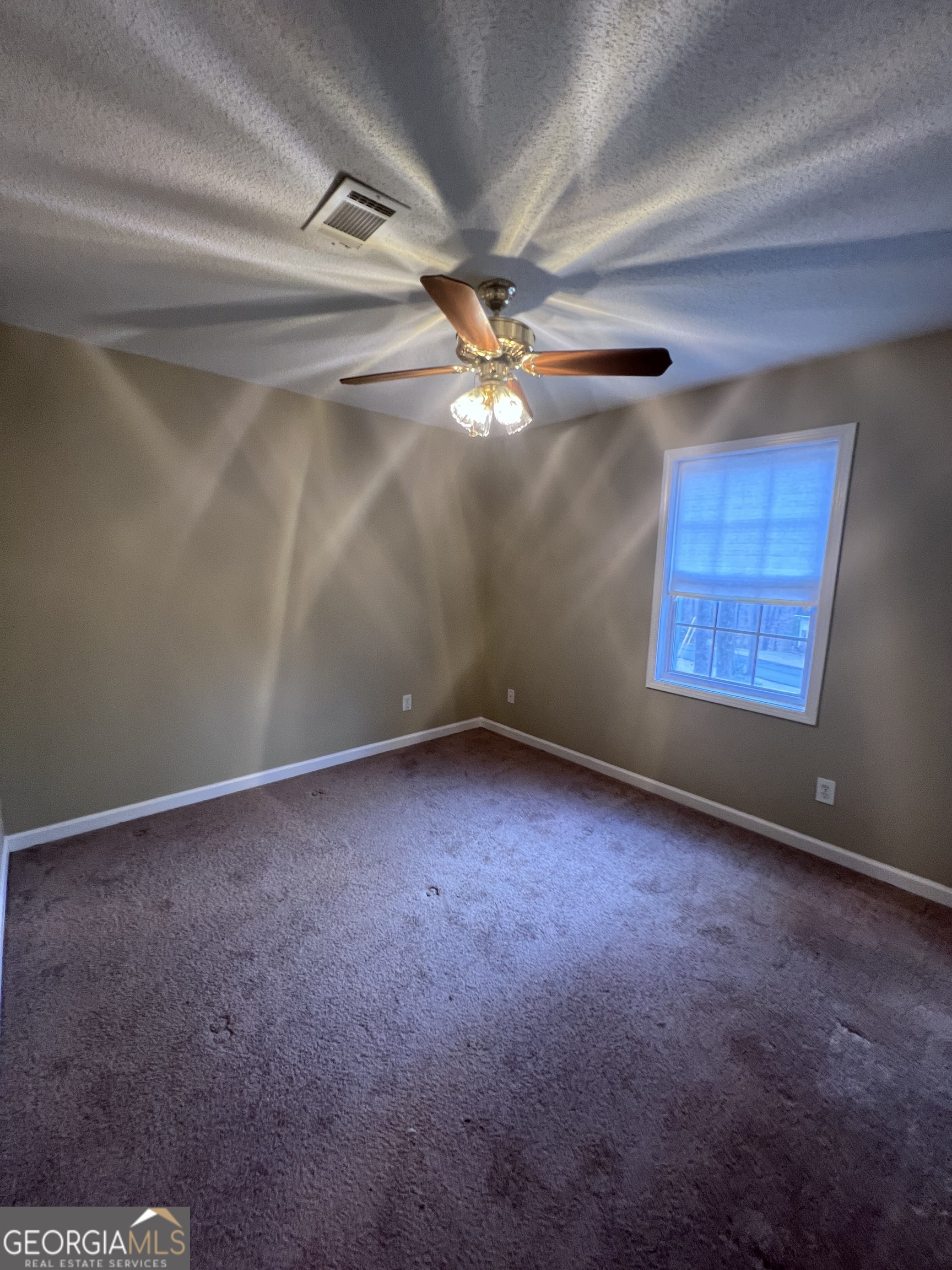 315 Magnolia Drive Canton GA 30114