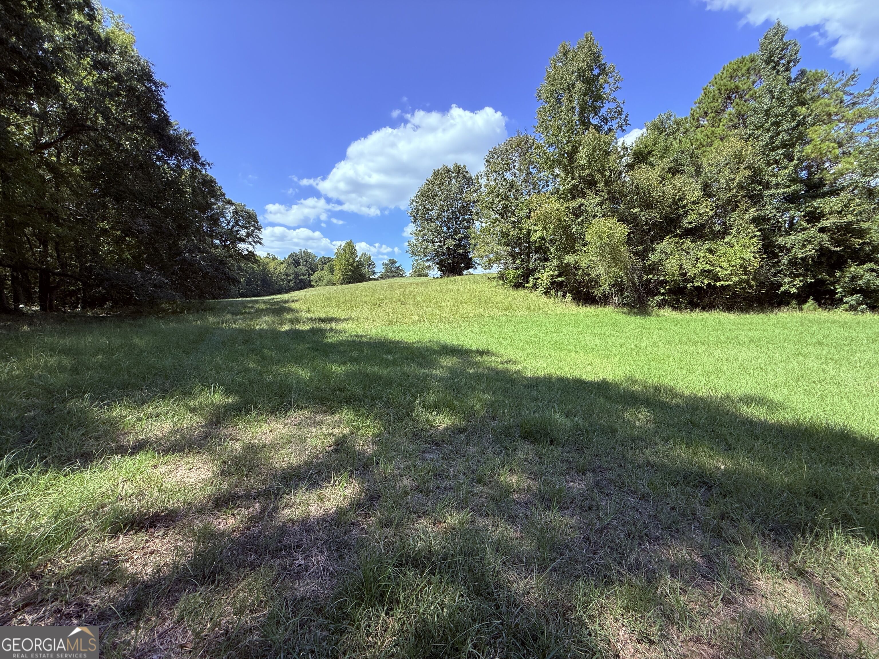 1333 E Hill Street Washington GA 30673
