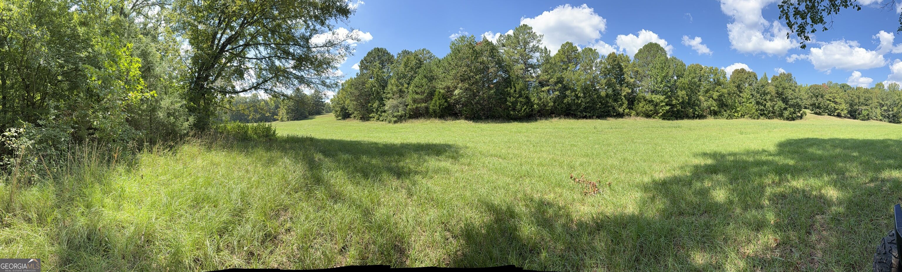 1333 E Hill Street Washington GA 30673