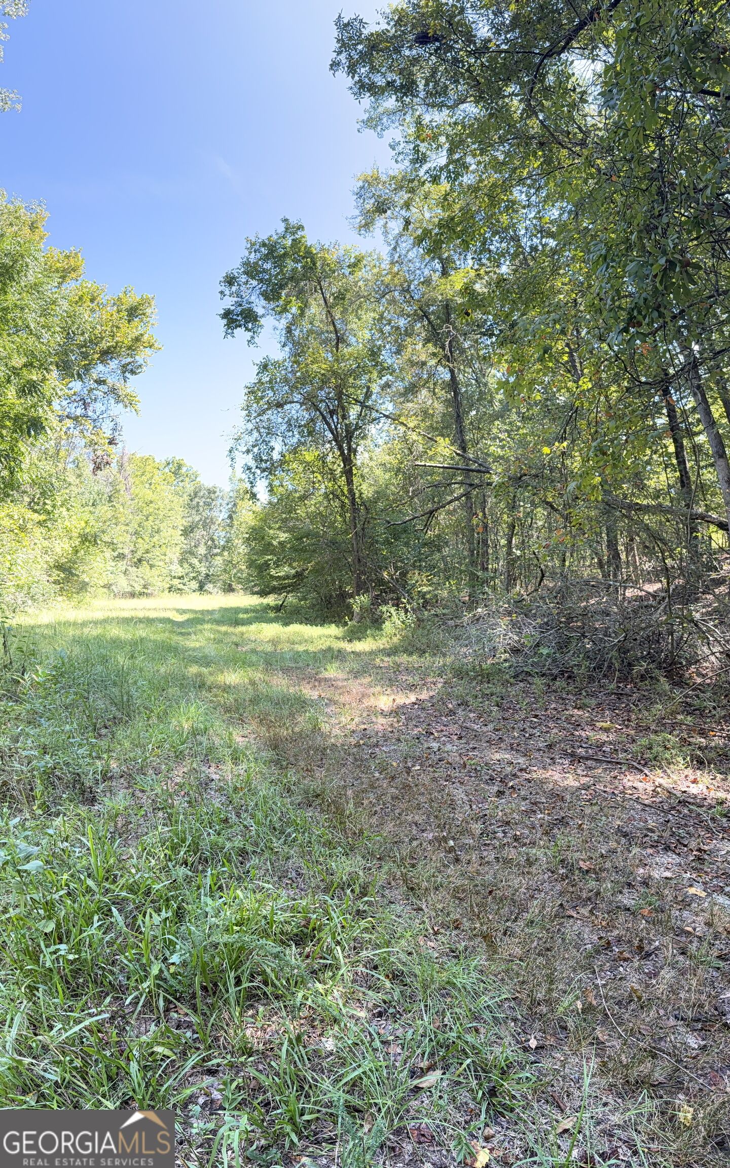 1333 E Hill Street Washington GA 30673