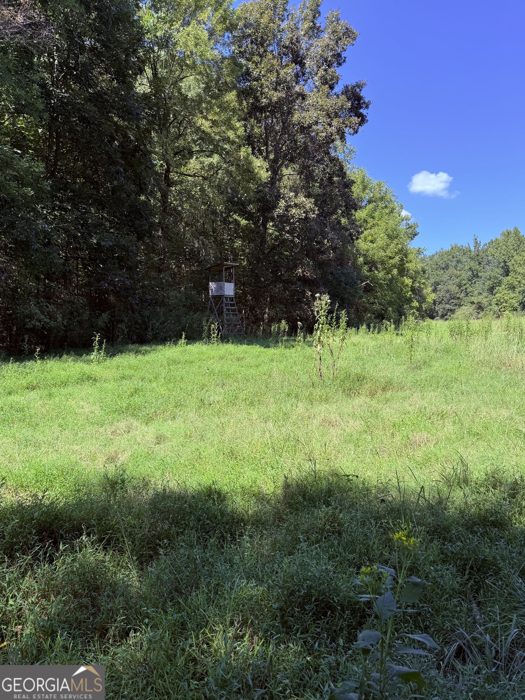 1333 E Hill Street Washington GA 30673